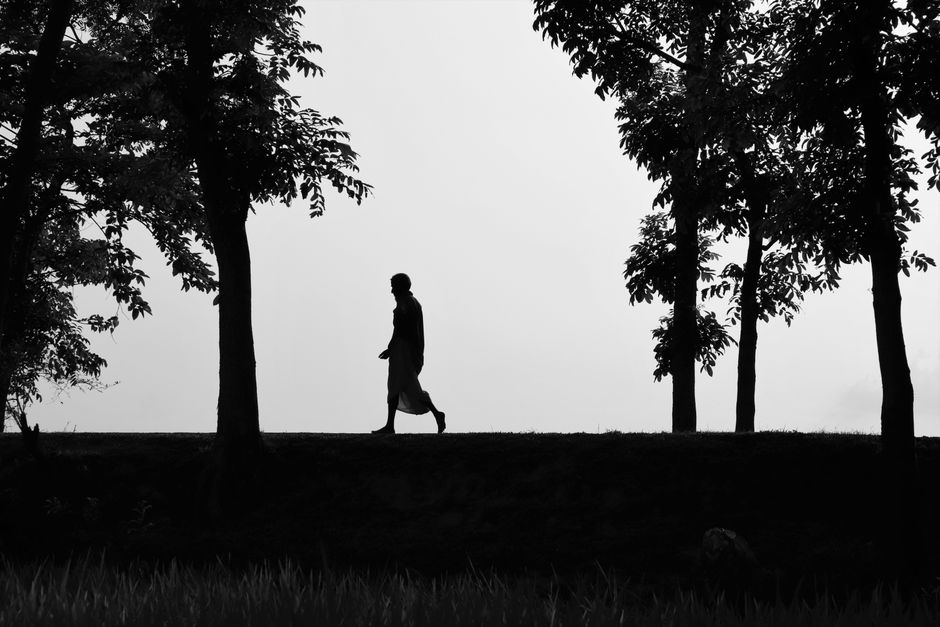 A striking black and white silhouette of a man walking through trees, evoking a serene natural landscape.