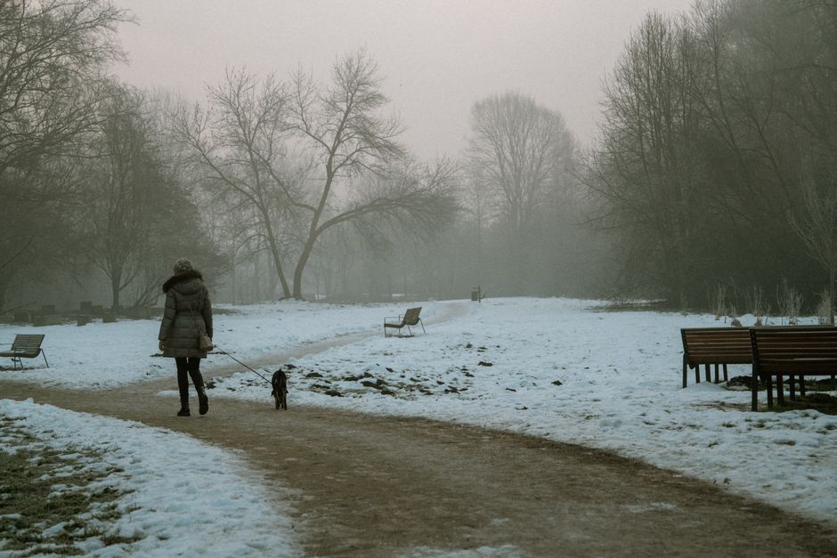 Person taking a brisk walk through a snowy winter park