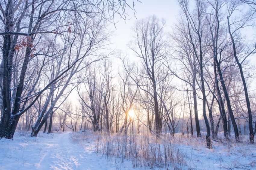 Winter Skincare for Dry Skin That Survives Cold Weather Winter Skincare for Dry Skin That Survives Cold Weather