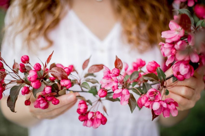 Managing Spring Allergies: A 7-Day Hay Fever Plan